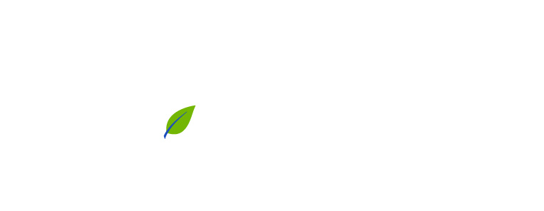 vineta